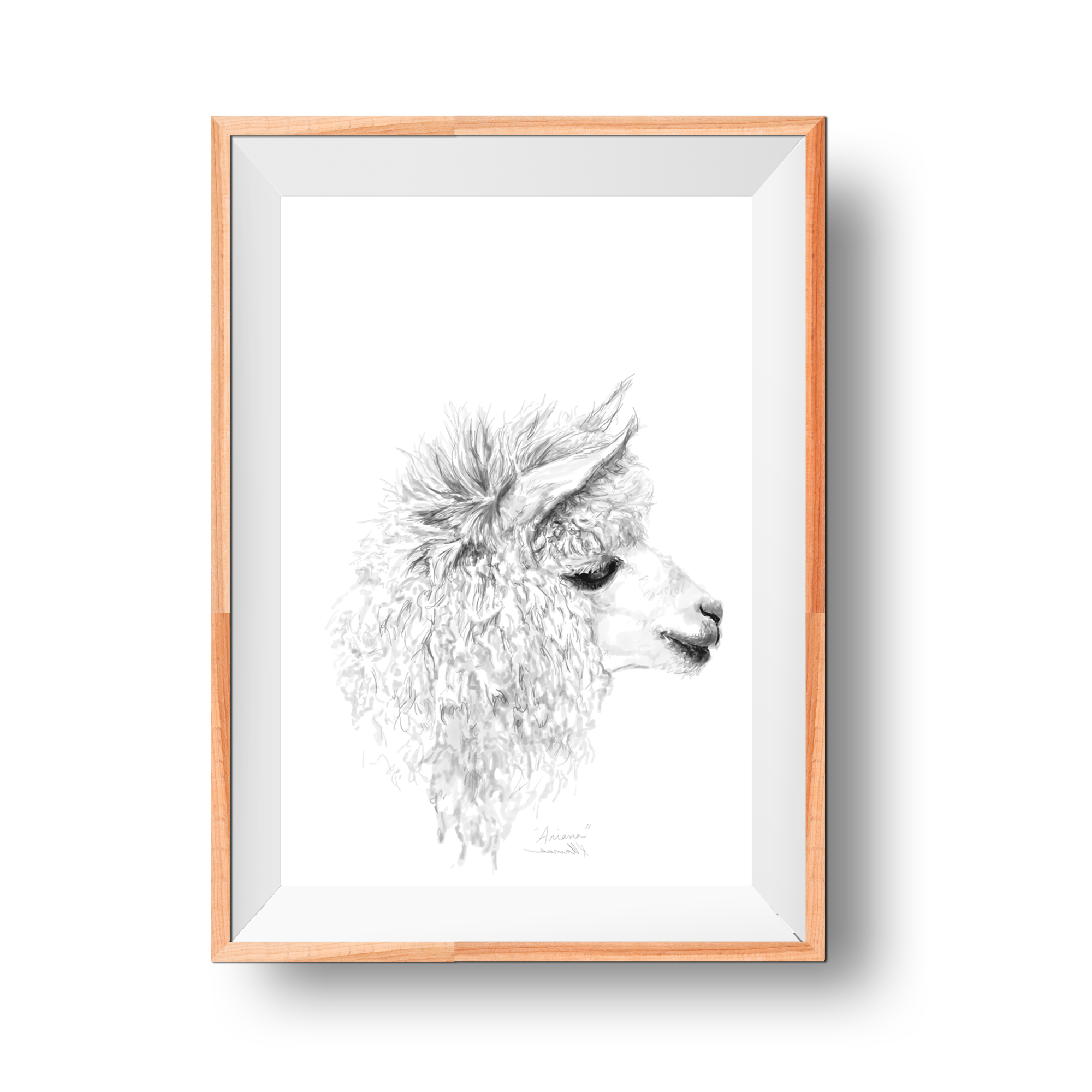 Framed Prints