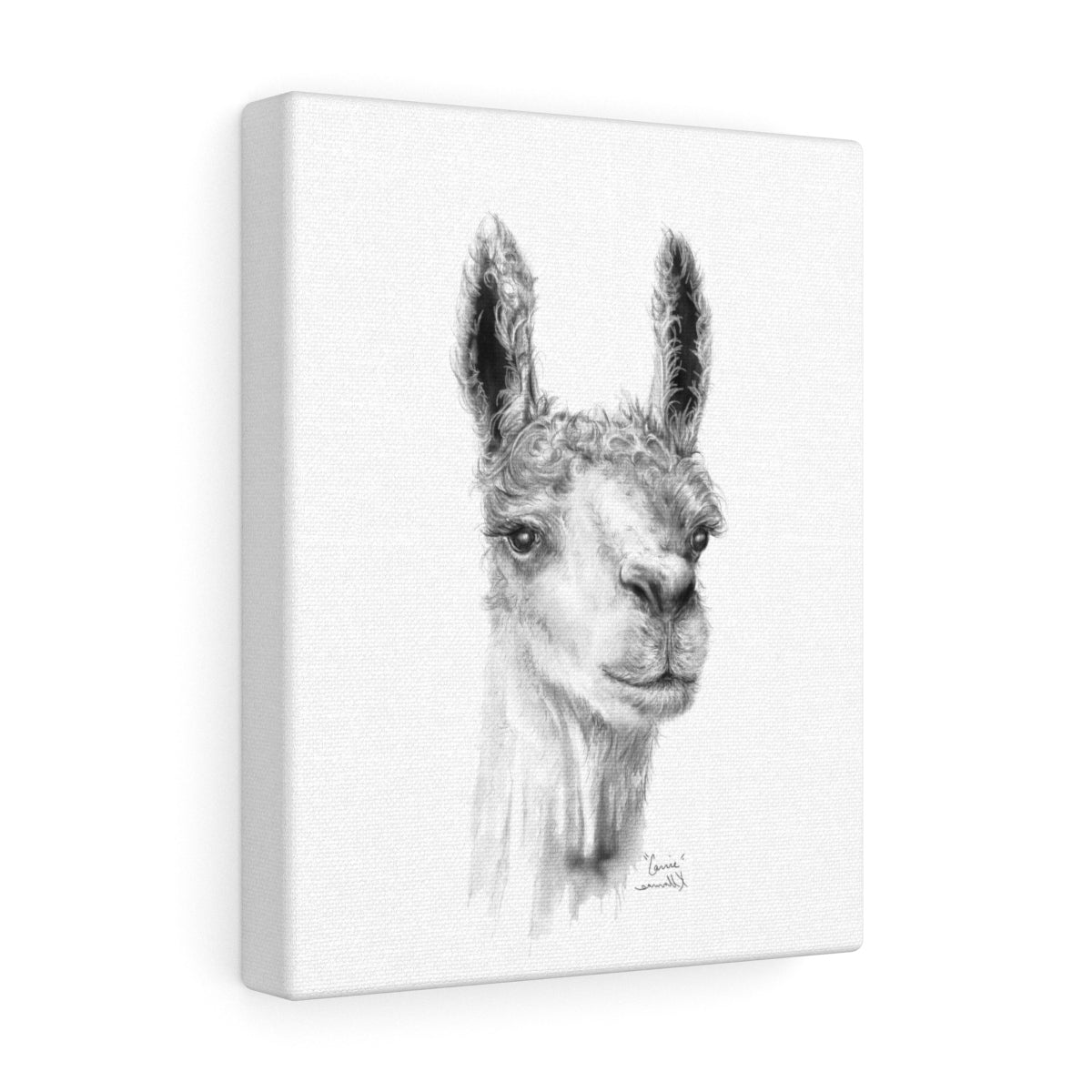 CARRIE Llama - Art Canvas