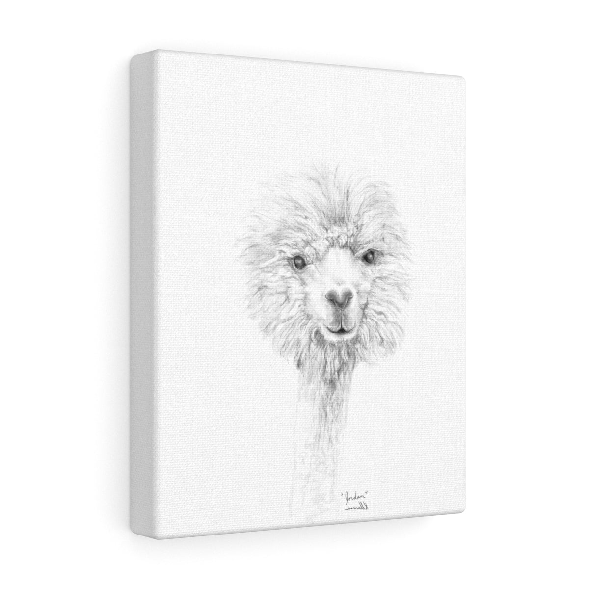 JORDAN Llama - Art Canvas