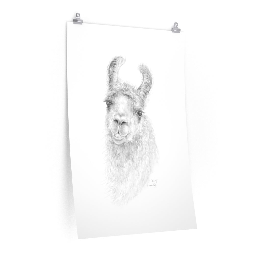 KIRBY Llama- Art Paper Print