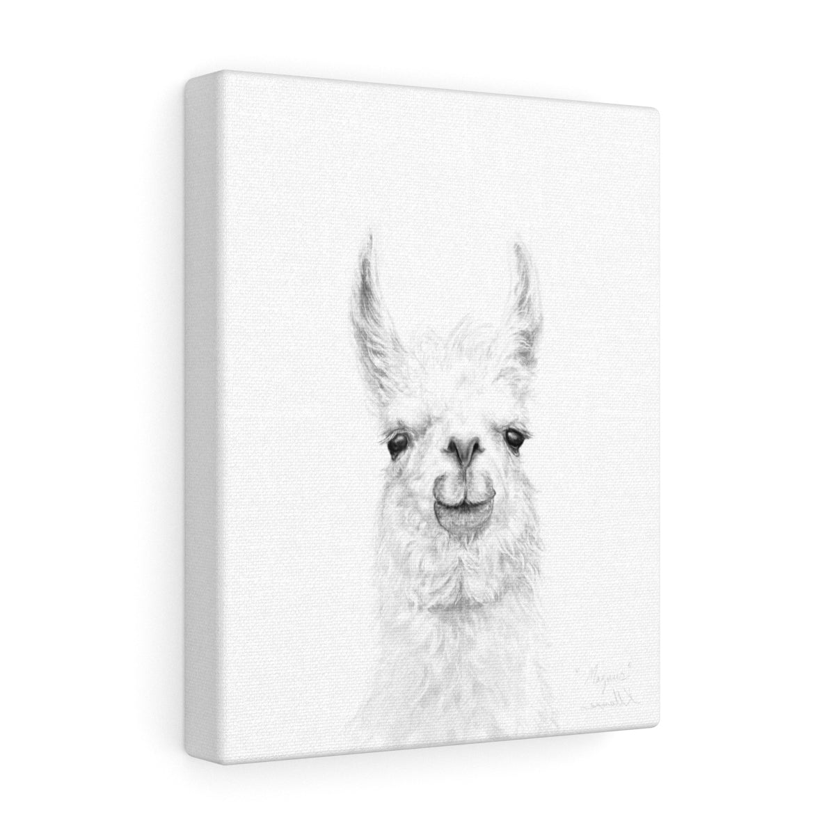 MAGNUS Llama - Art Canvas