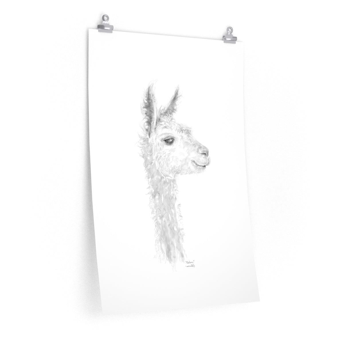 MADISON Llama- Art Paper Print