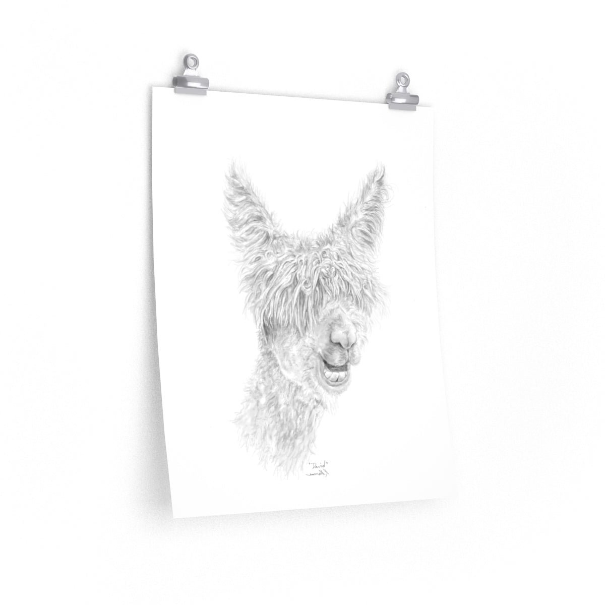 DAVID Llama- Art Paper Print