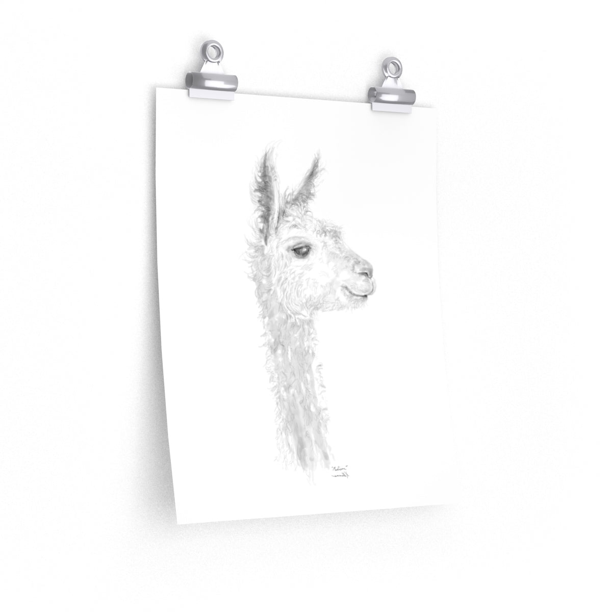 MADISON Llama- Art Paper Print