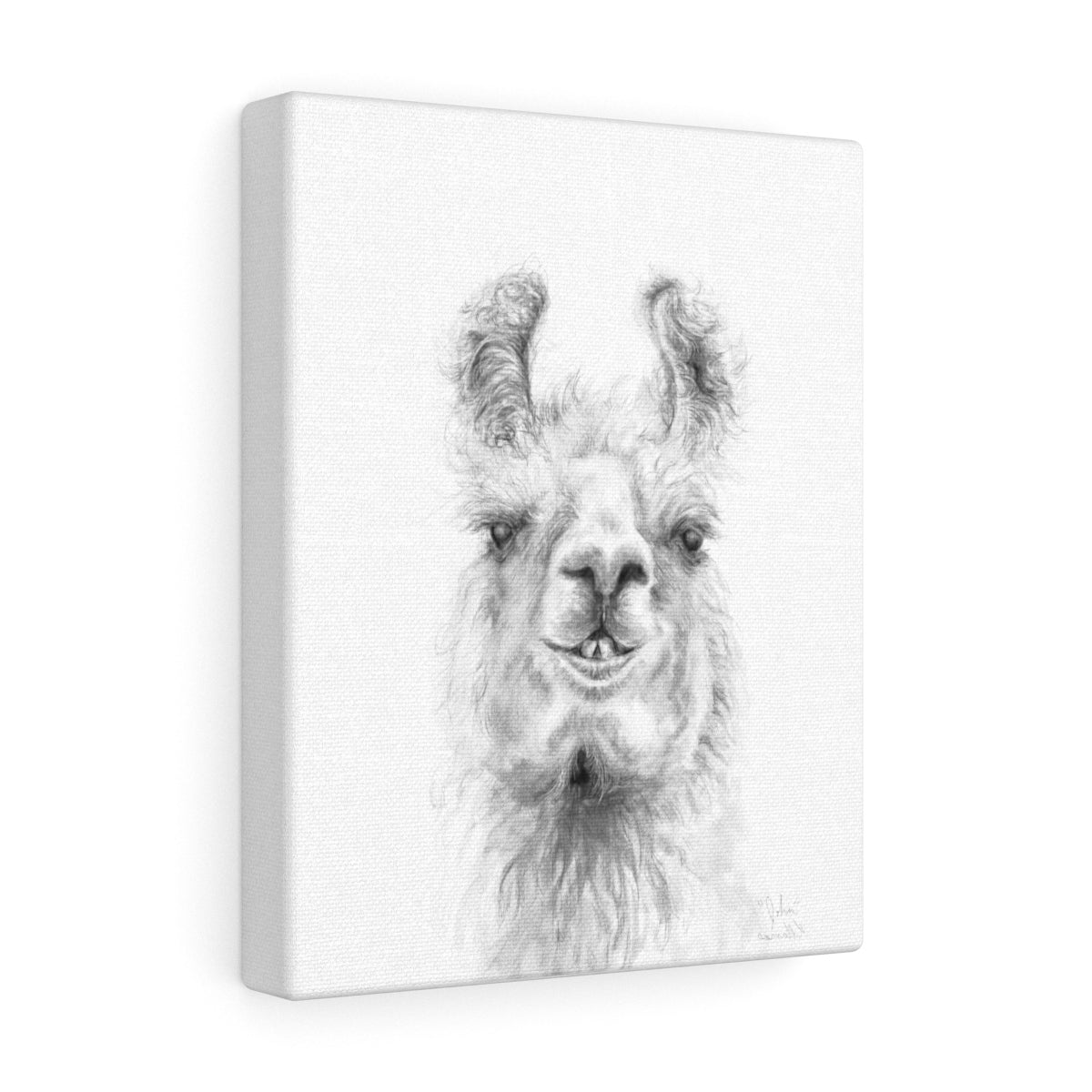 JOHN Llama - Art Canvas
