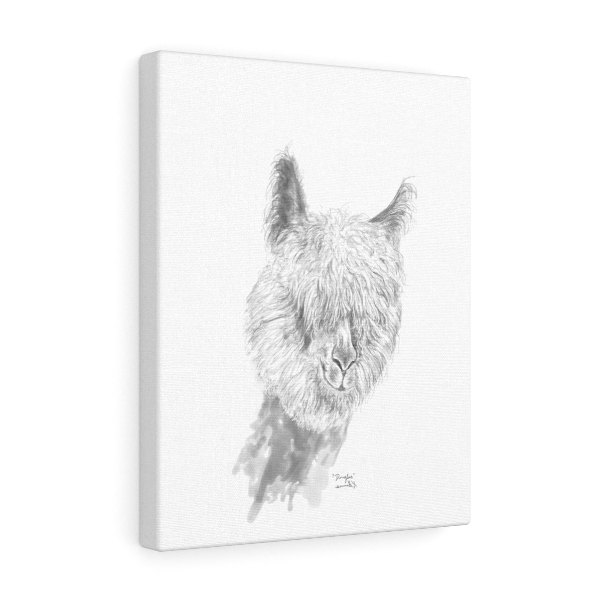 DOUGLAS Llama - Art Canvas