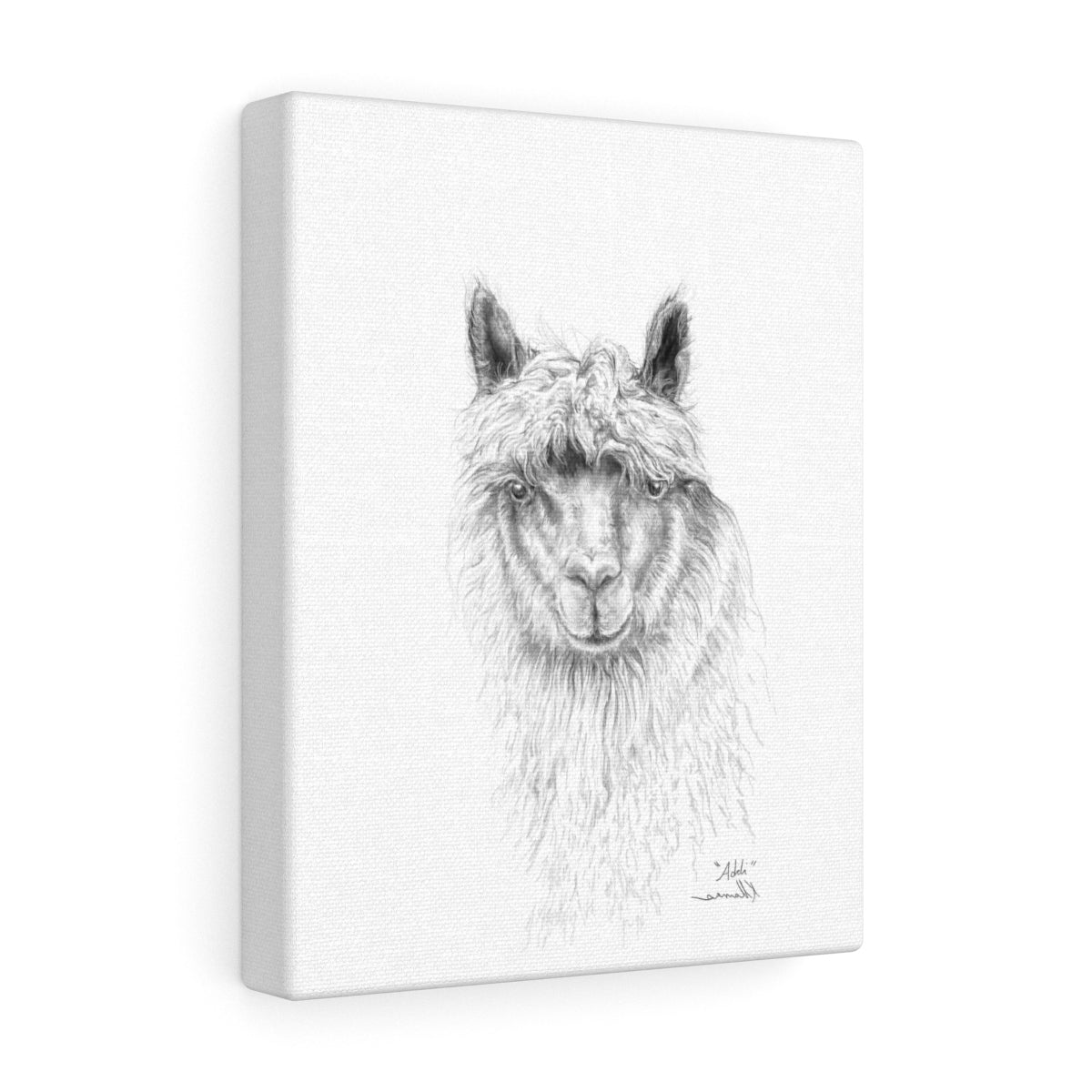 ADDI Llama- Art Canvas