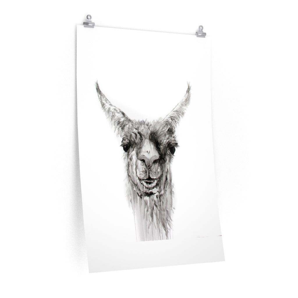 NEMORIO Llama- Art Paper Print