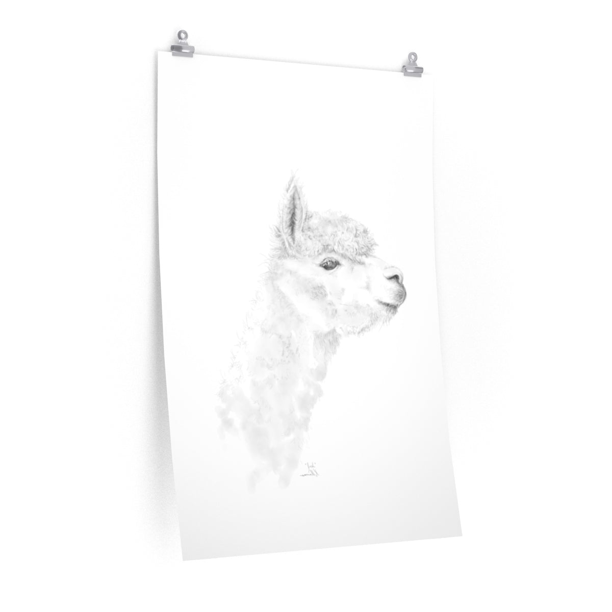 JOSH Llama- Art Paper Print