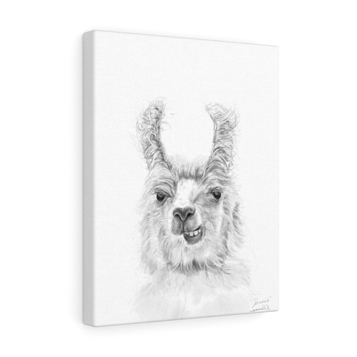 DENNIS Llama - Art Canvas