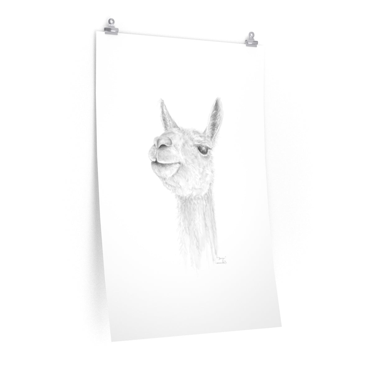 DAVYN Llama- Art Paper Print