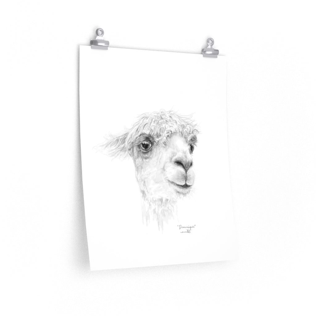 DOMINIQUE Llama- Art Paper Print