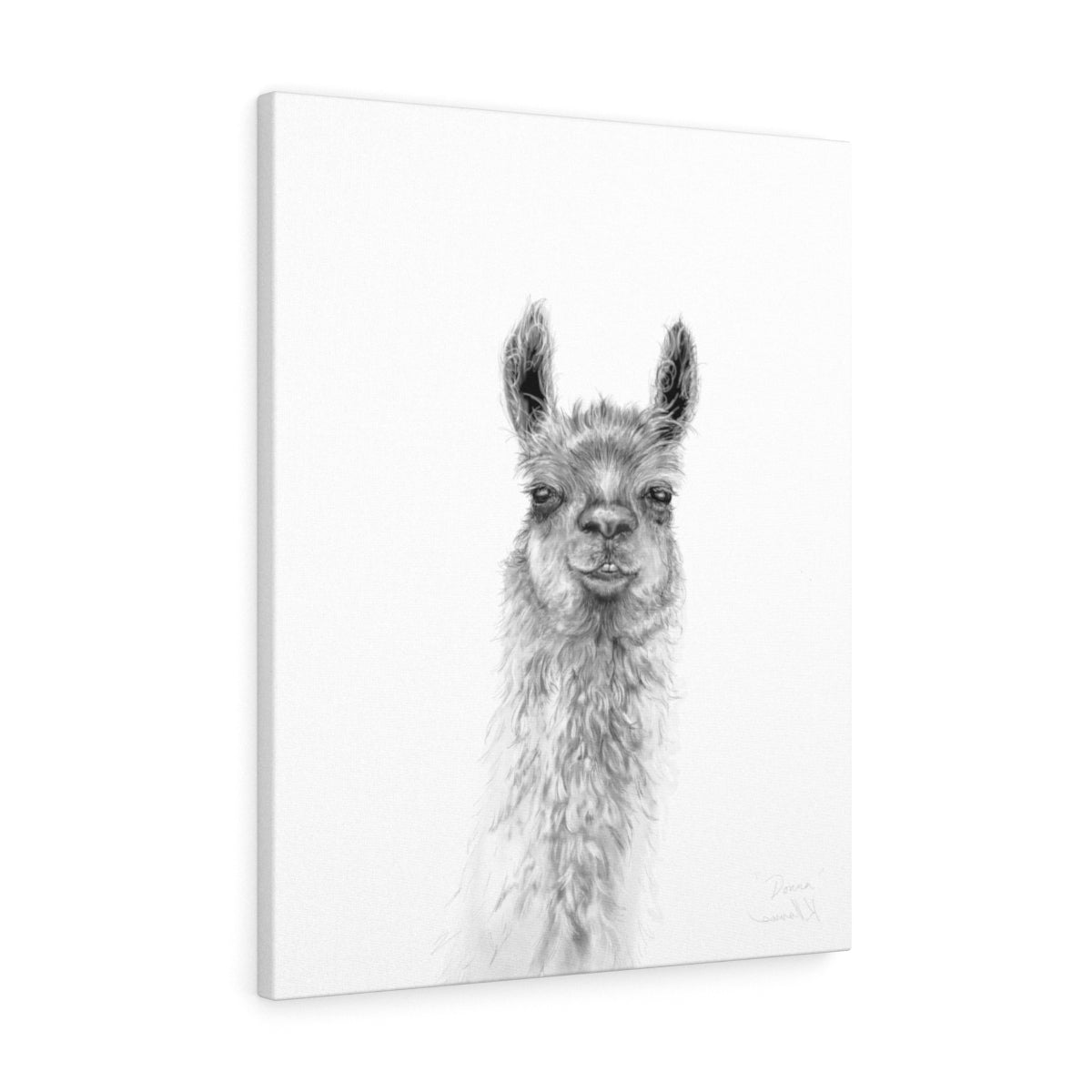DONNA Llama - Art Canvas