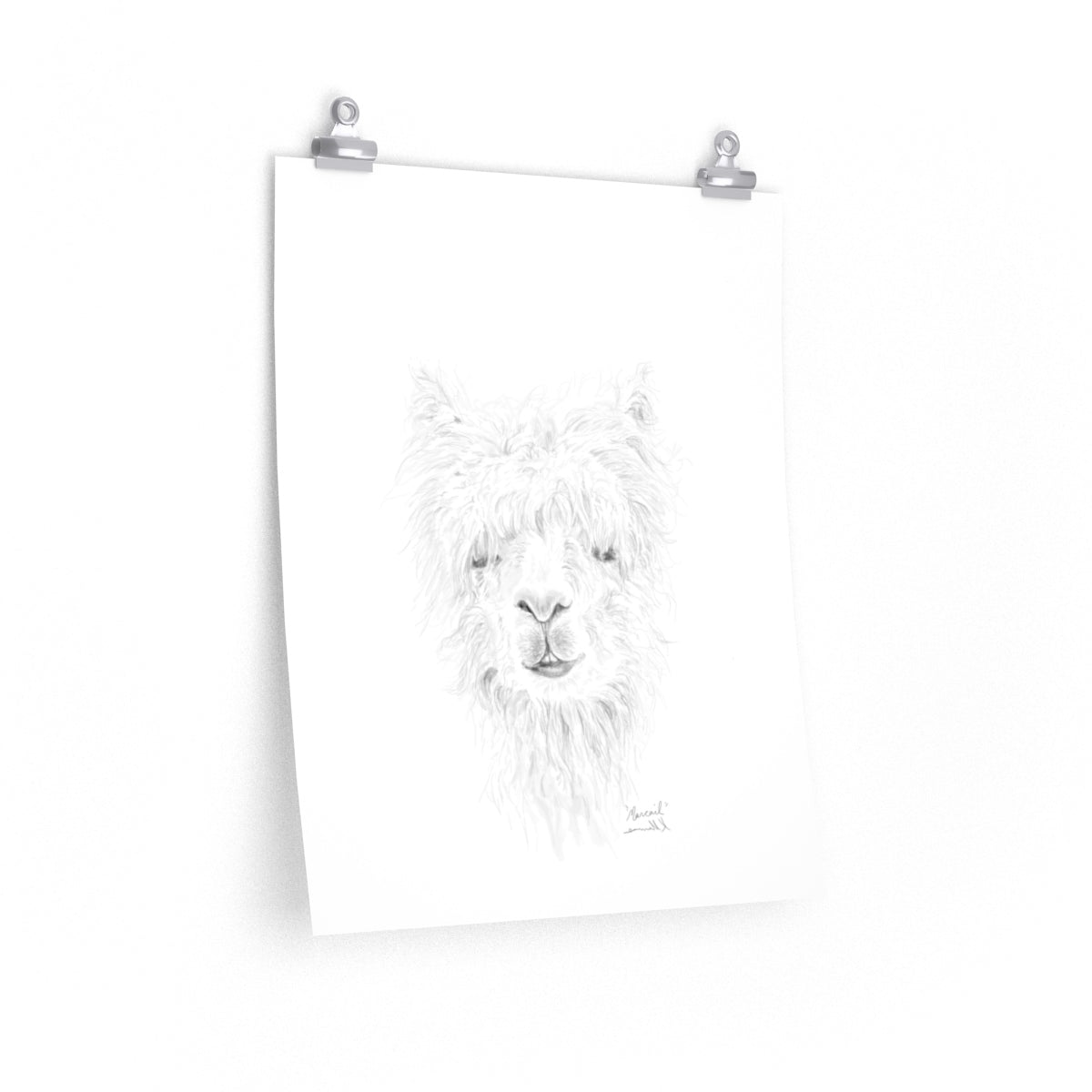 MARCAIL Llama- Art Paper Print