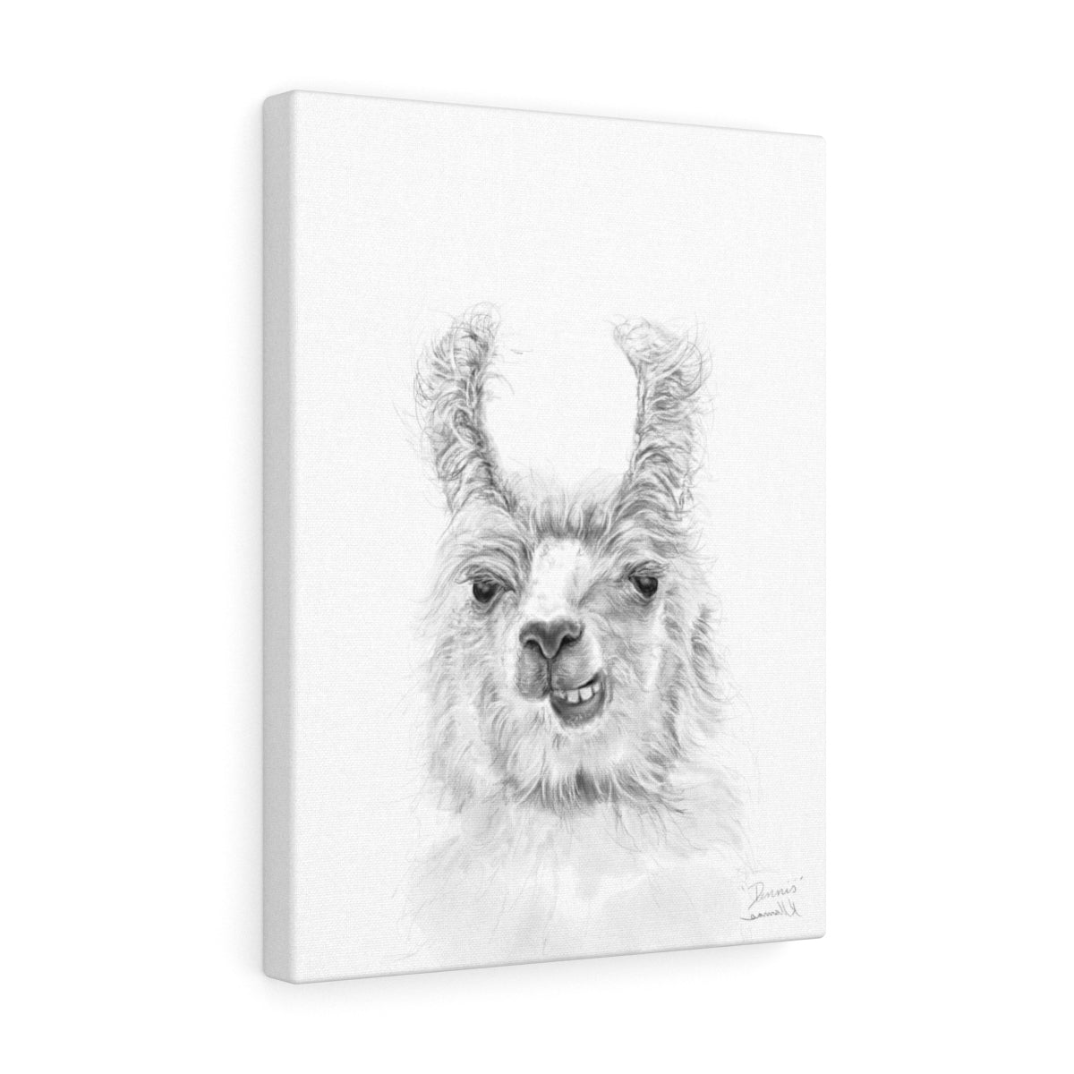DENNIS Llama - Art Canvas
