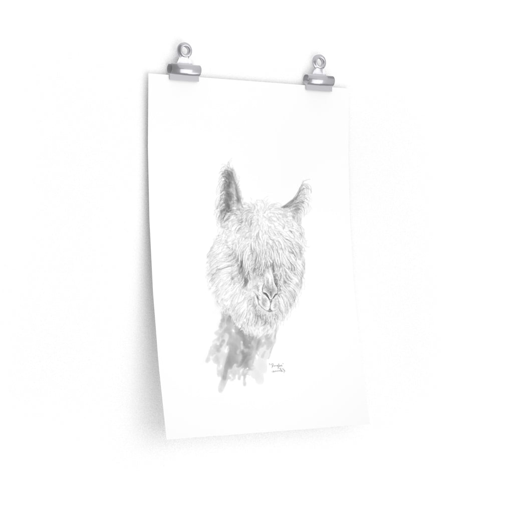 DOUGLAS Llama- Art Paper Print