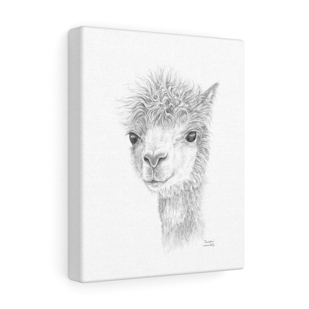 CHRISTINE Llama - Art Canvas