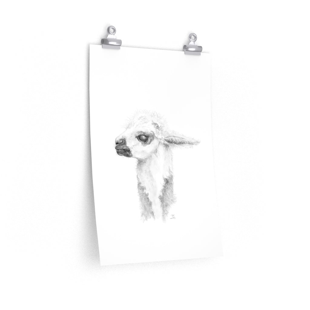DEBI Llama- Art Paper Print