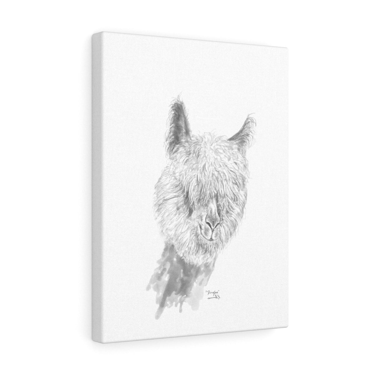 DOUGLAS Llama - Art Canvas