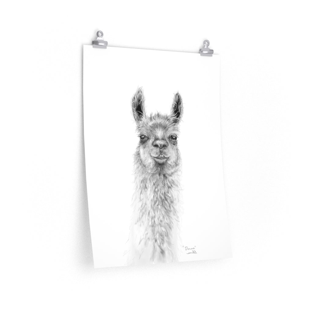 DONNA Llama- Art Paper Print