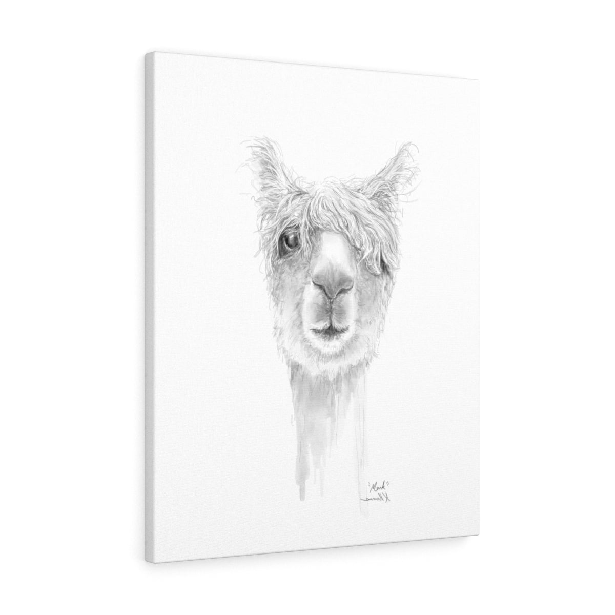 MARK Llama - Art Canvas