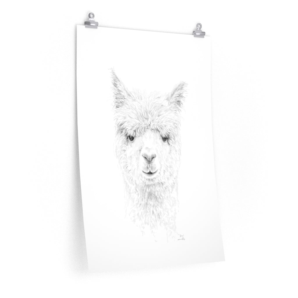 DOUG Llama- Art Paper Print