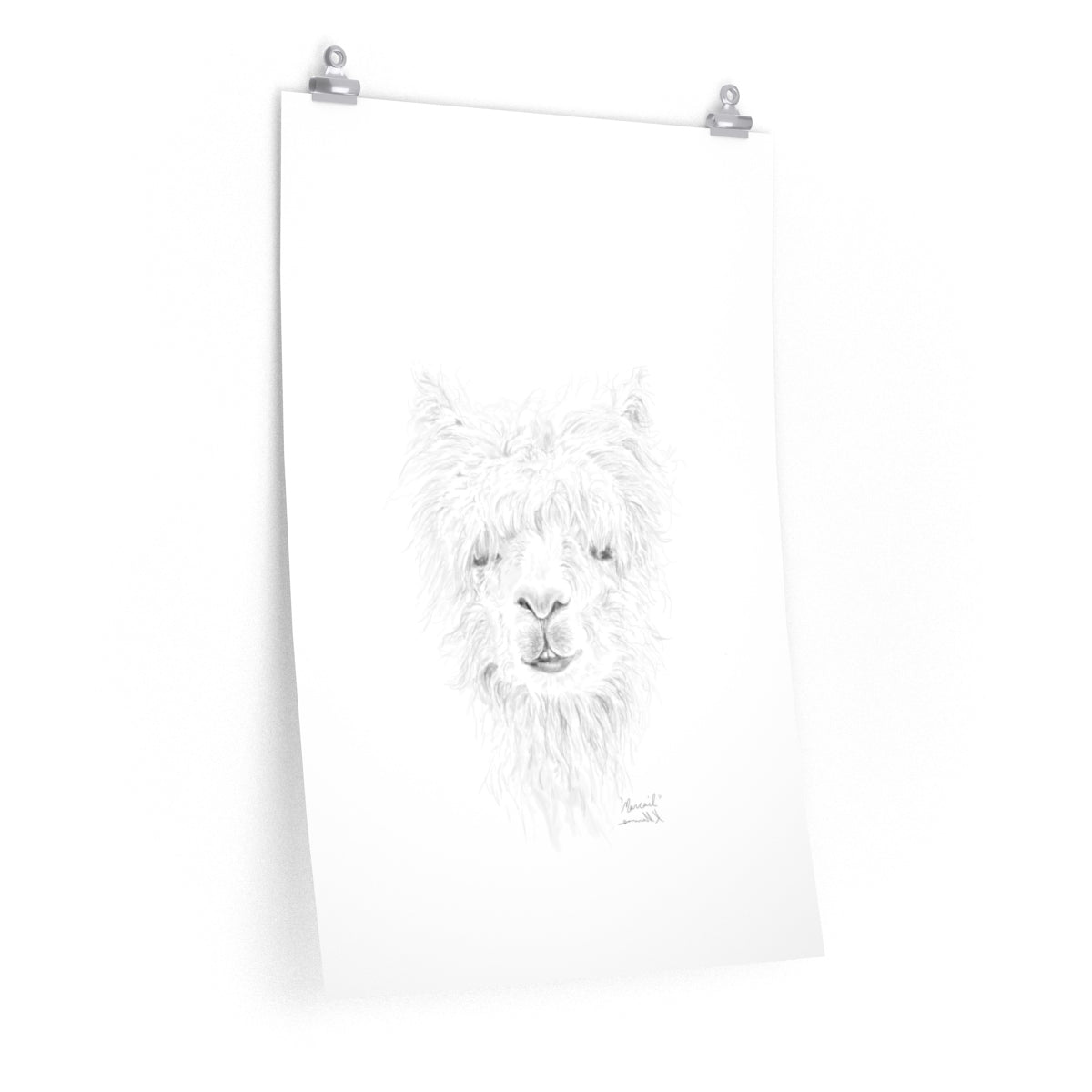 MARCAIL Llama- Art Paper Print
