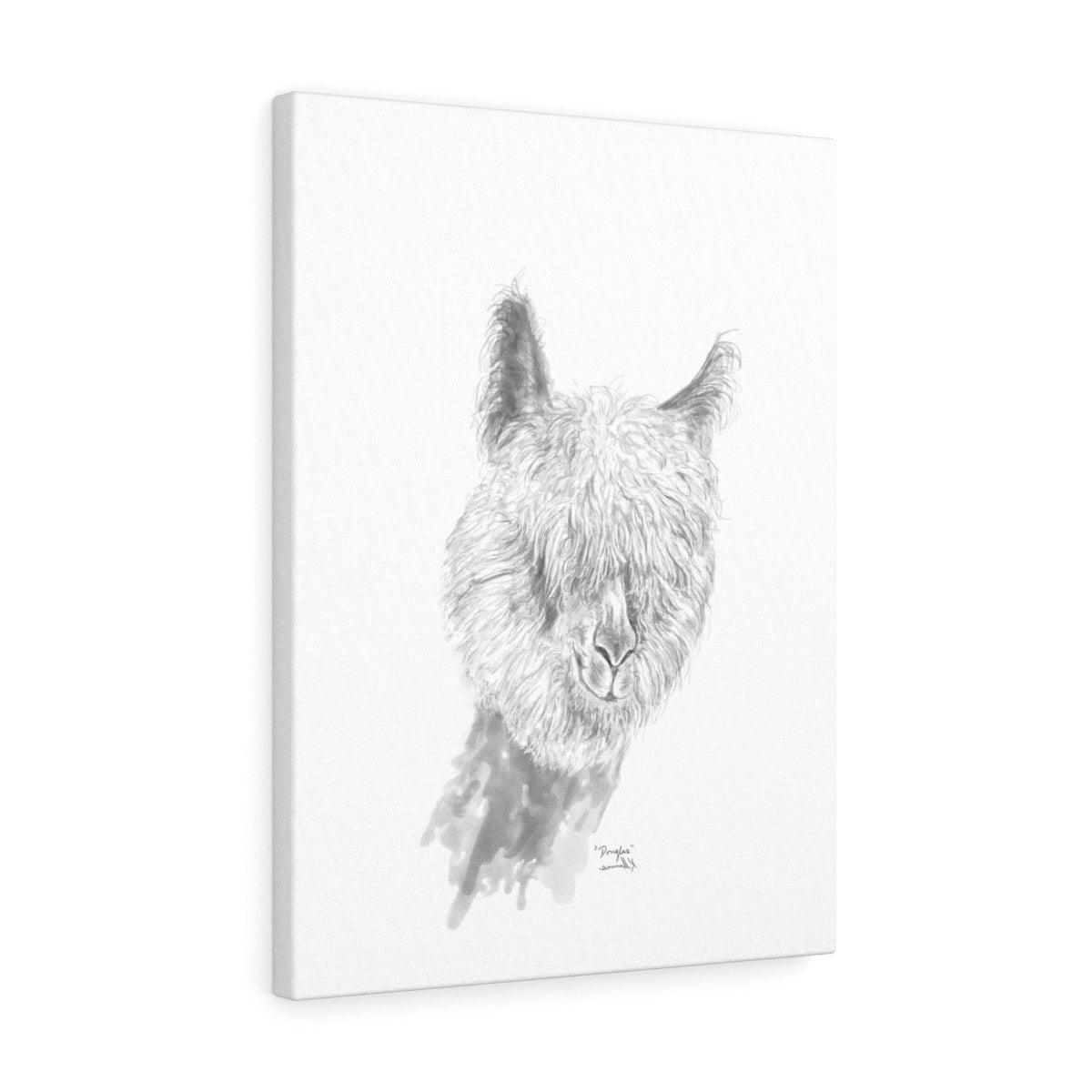 DOUGLAS Llama - Art Canvas