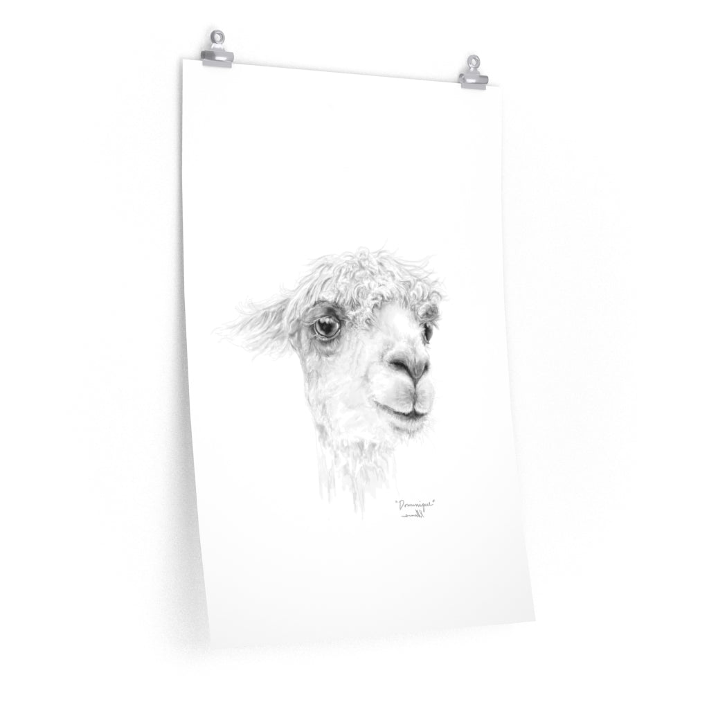 DOMINIQUE Llama- Art Paper Print