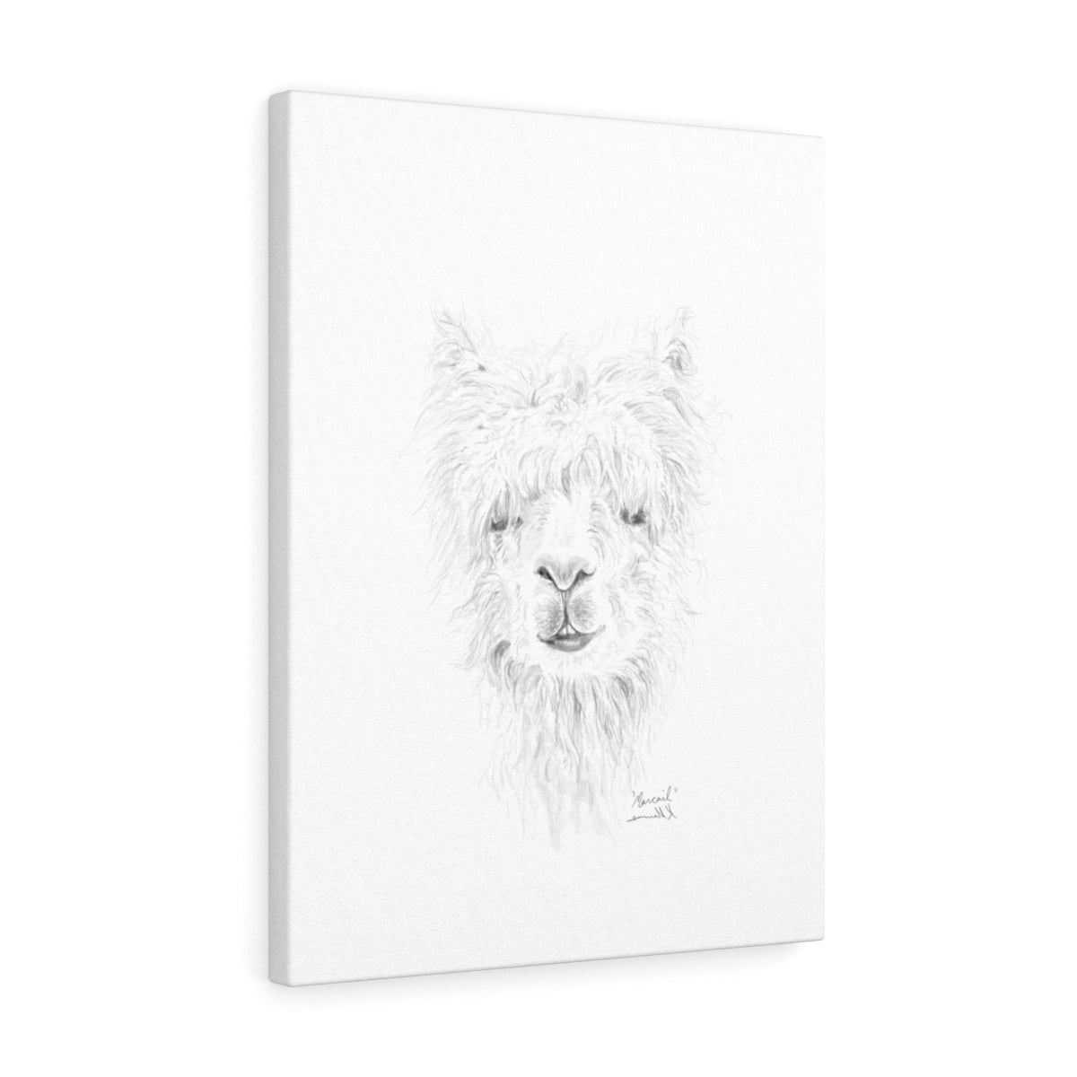 MARCAIL Llama - Art Canvas