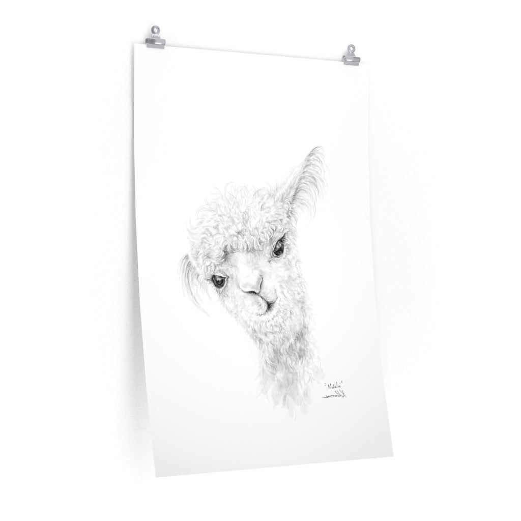 NATALIA Llama- Art Paper Print