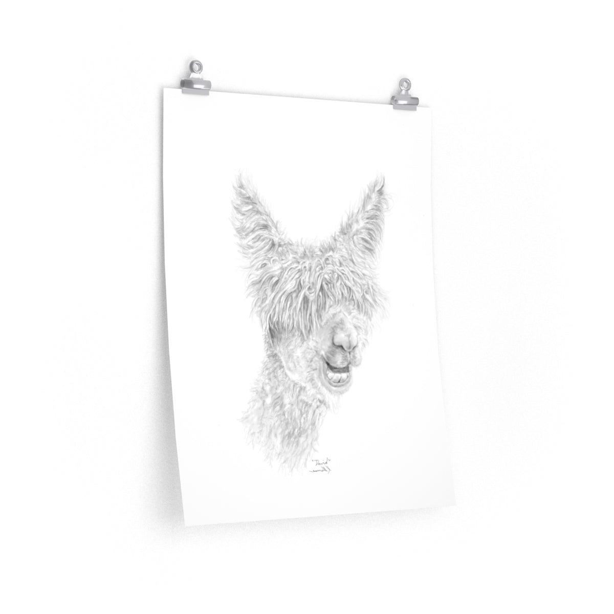 DAVID Llama- Art Paper Print