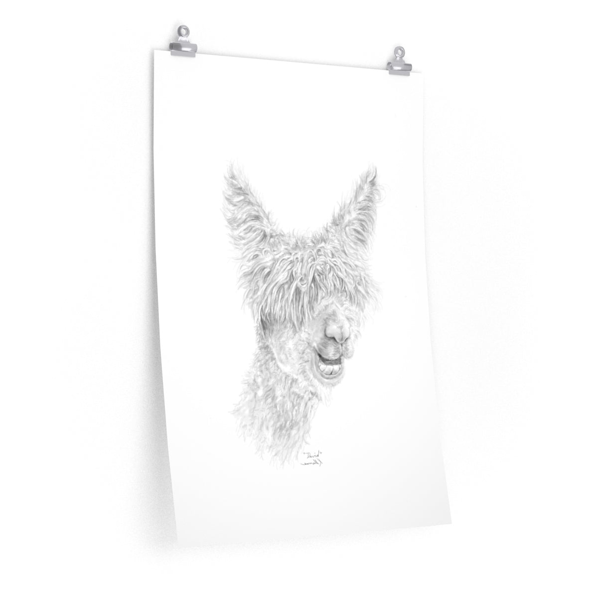 DAVID Llama- Art Paper Print