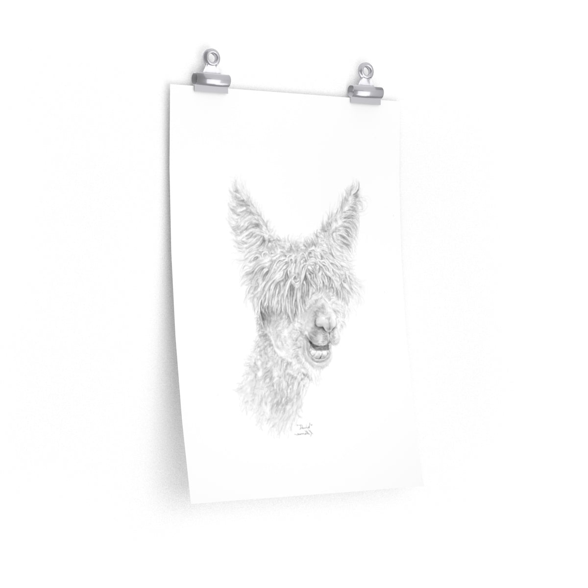 DAVID Llama- Art Paper Print