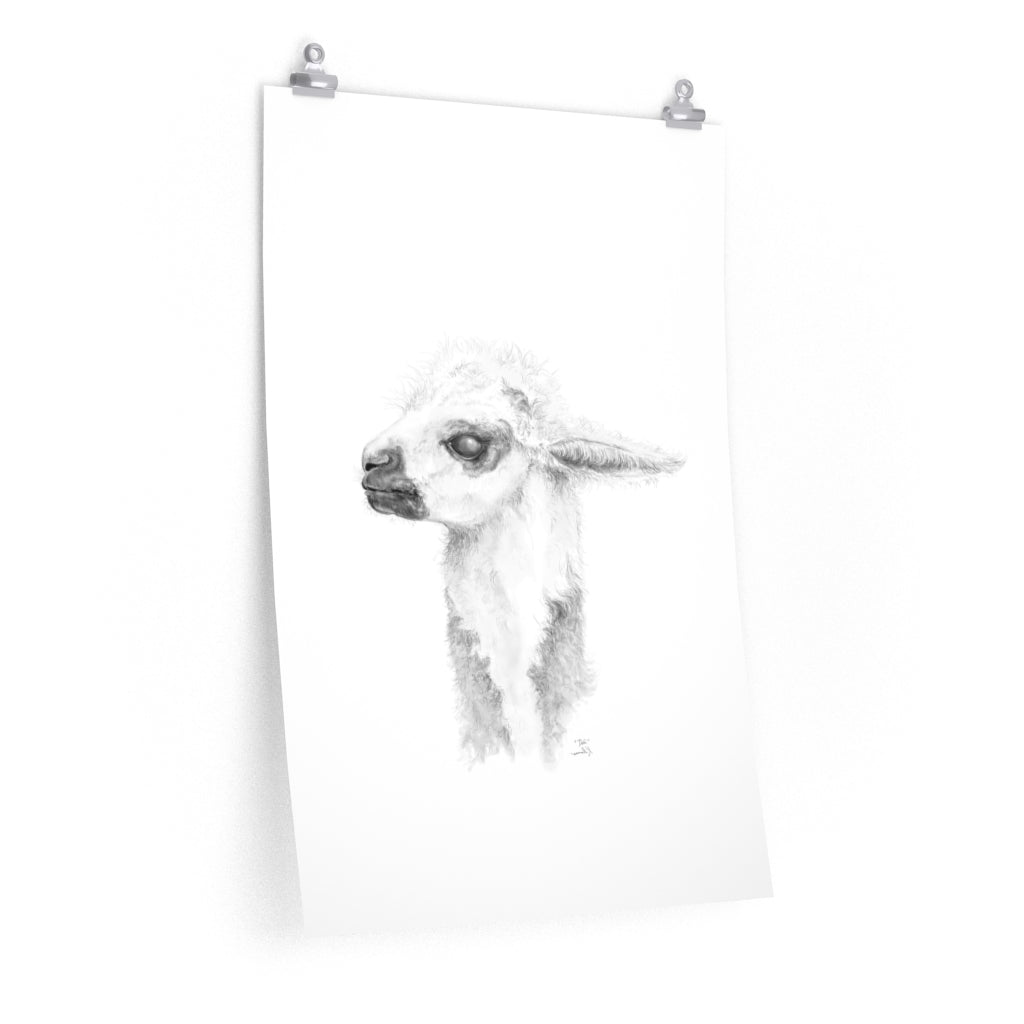 DEBI Llama- Art Paper Print