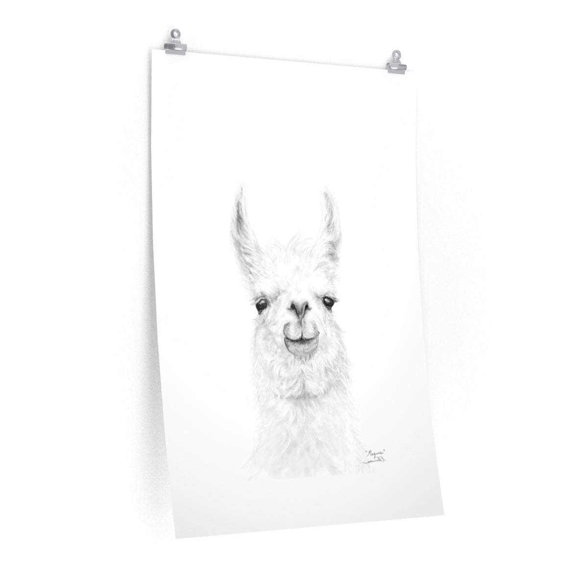 MAGNUS Llama- Art Paper Print