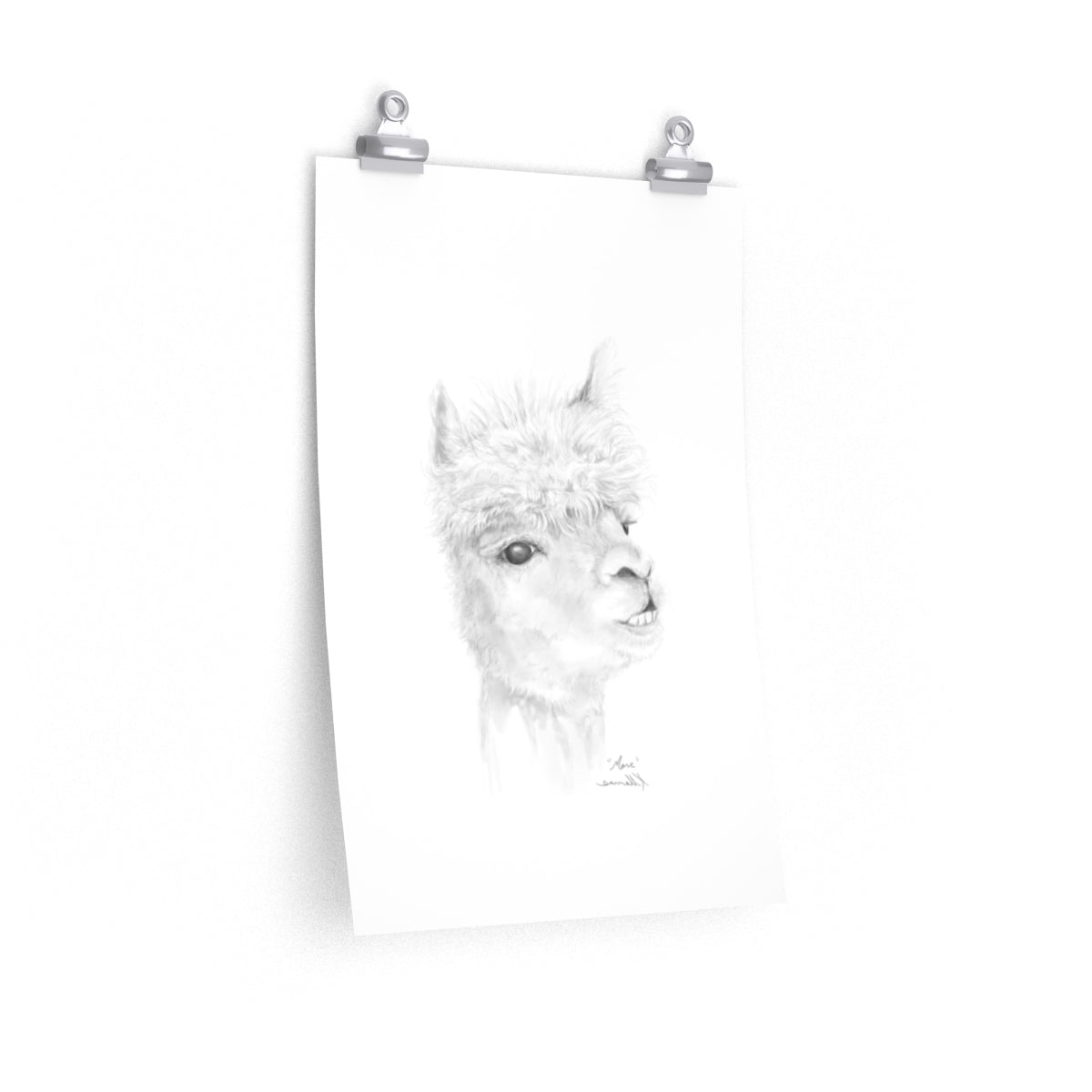 MARC Llama- Art Paper Print