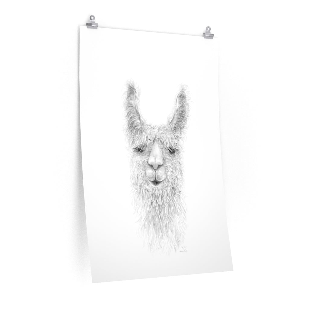 NIKKI Llama- Art Paper Print