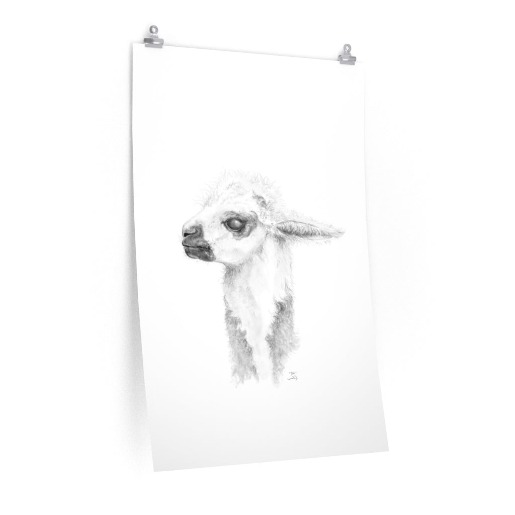 DEBI Llama- Art Paper Print