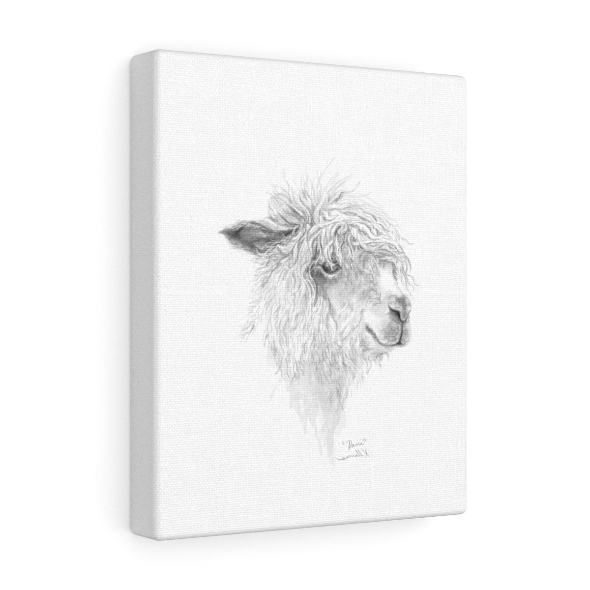 DANI Llama - Art Canvas