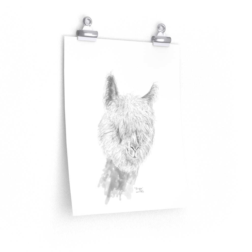 DOUGLAS Llama- Art Paper Print