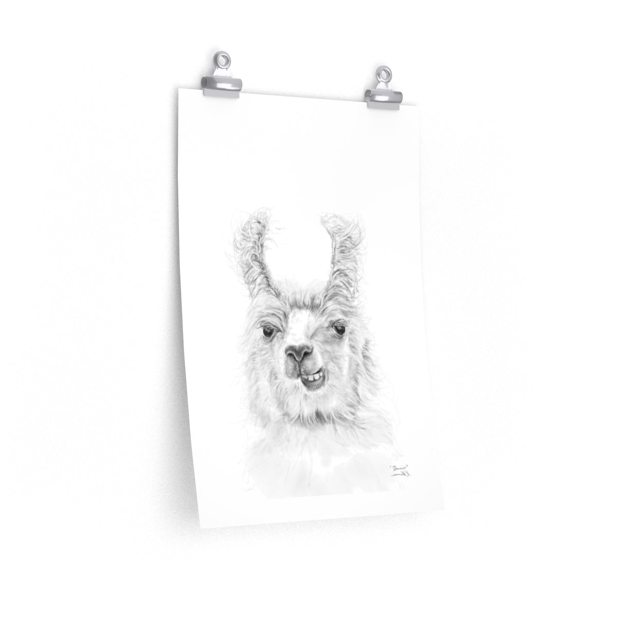 DENNIS Llama- Art Paper Print