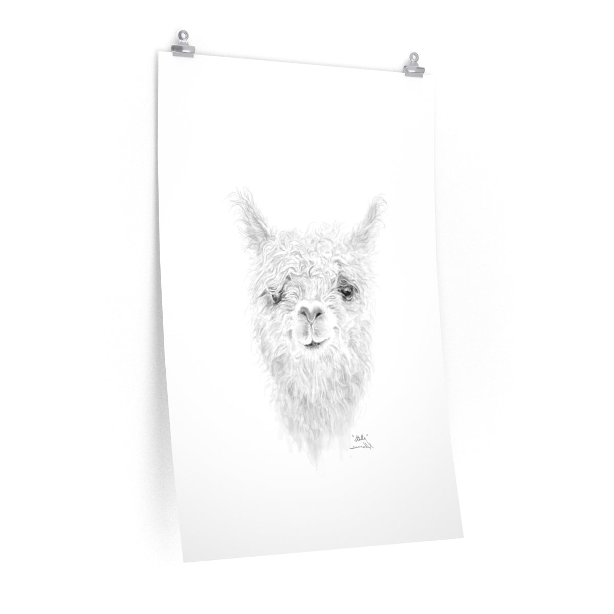STELLA Llama- Art Paper Print