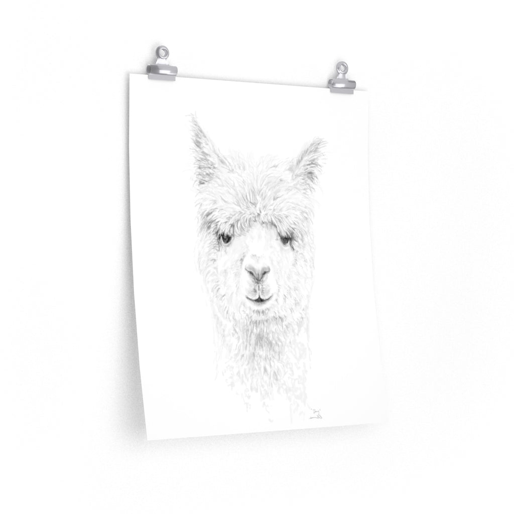 DOUG Llama- Art Paper Print