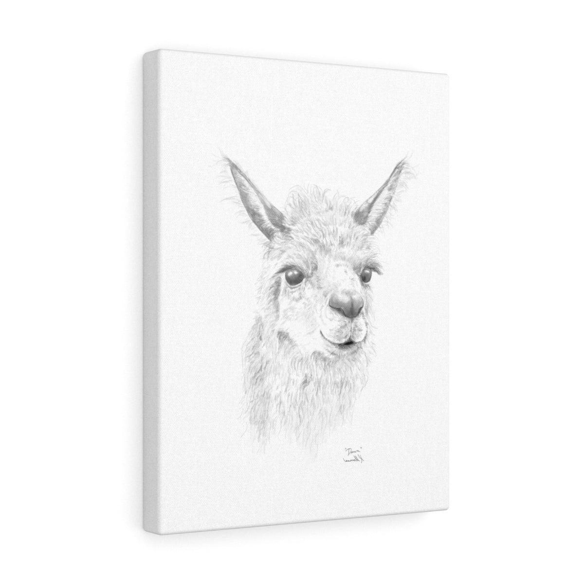 Dawn Llama - Art Canvas
