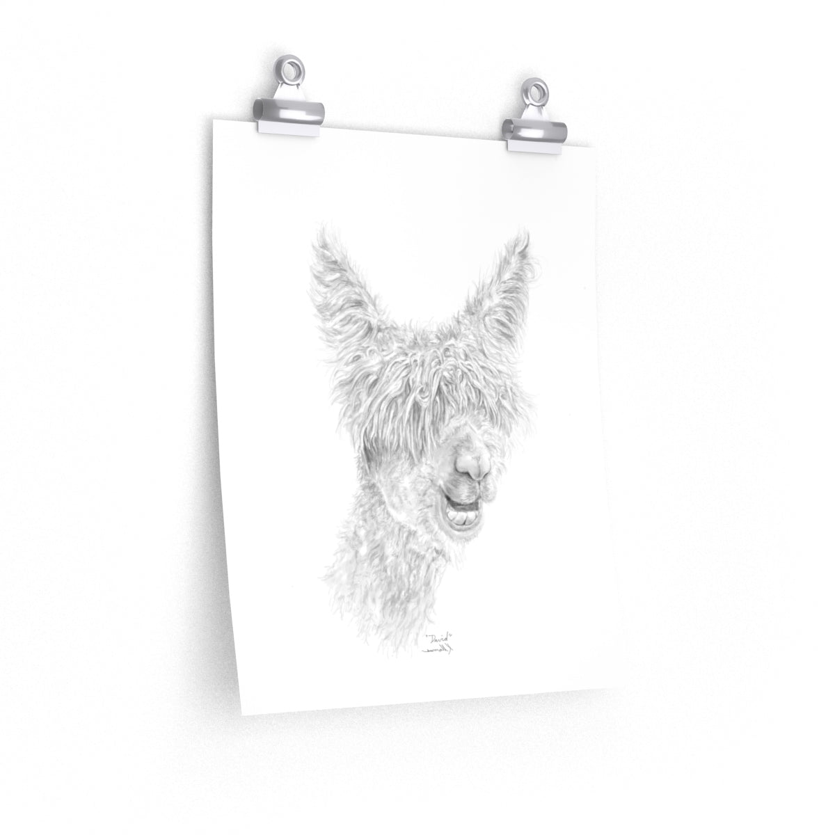 DAVID Llama- Art Paper Print