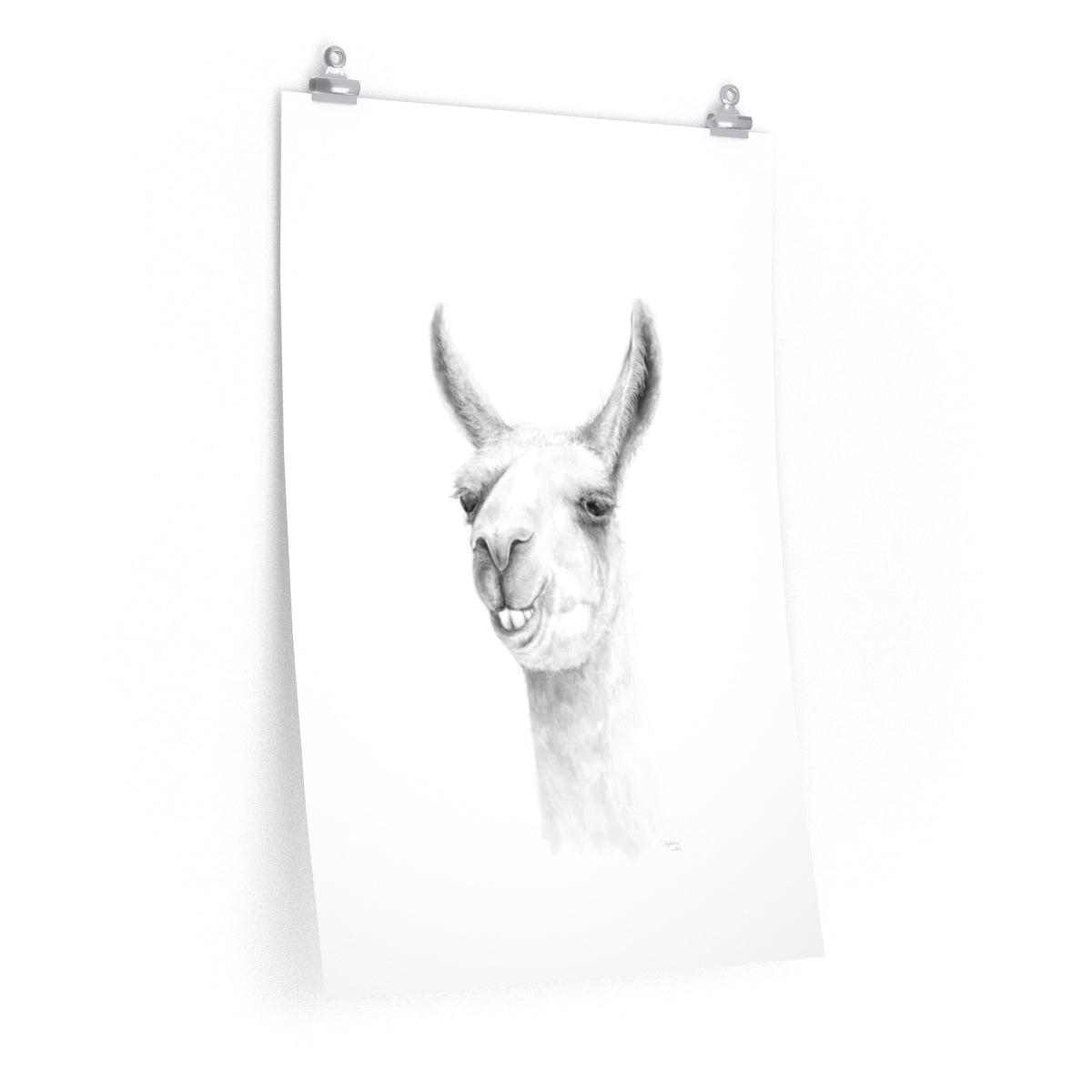 MAGDALENA Llama- Art Paper Print