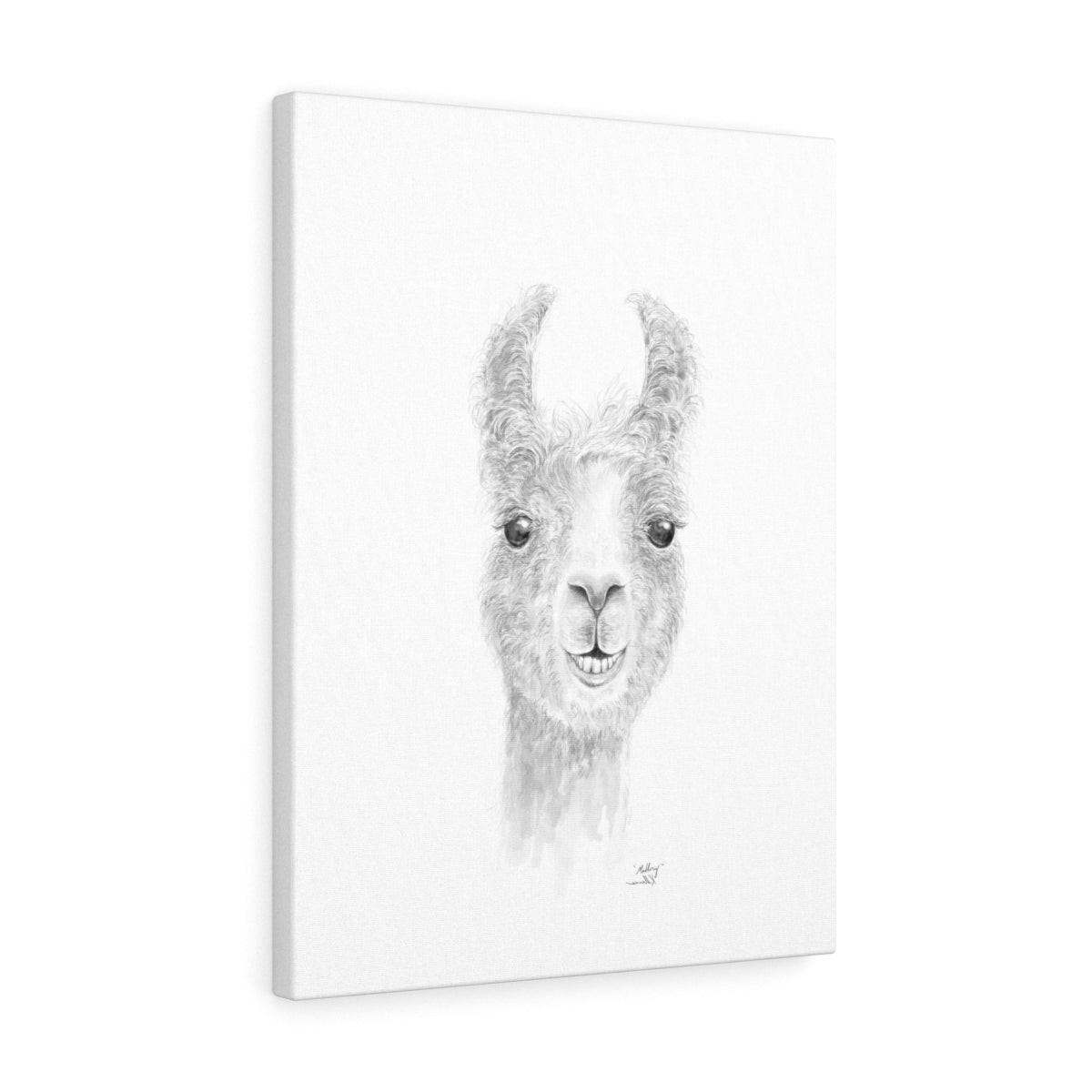 MALLORY Llama - Art Canvas