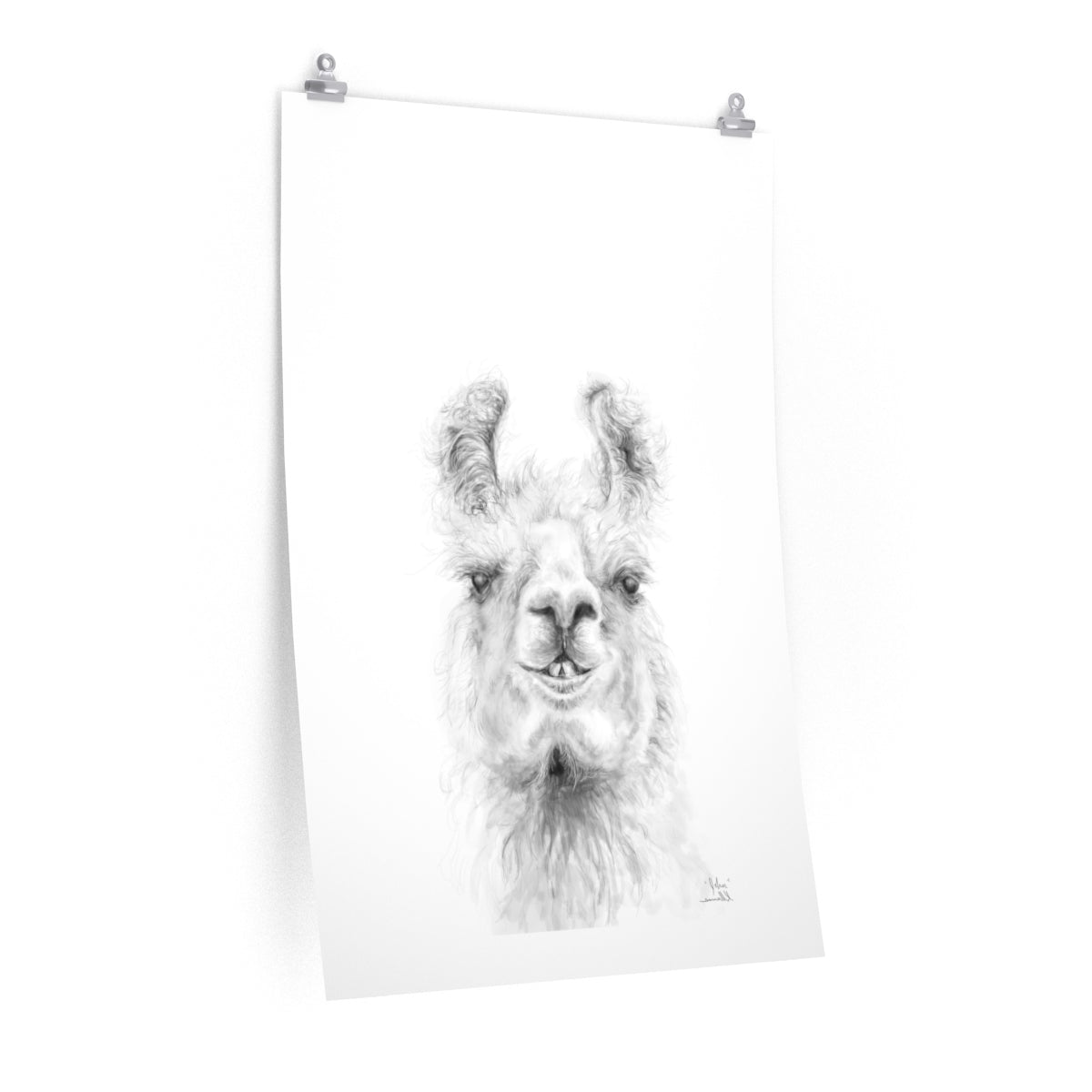 JOHN Llama- Art Paper Print