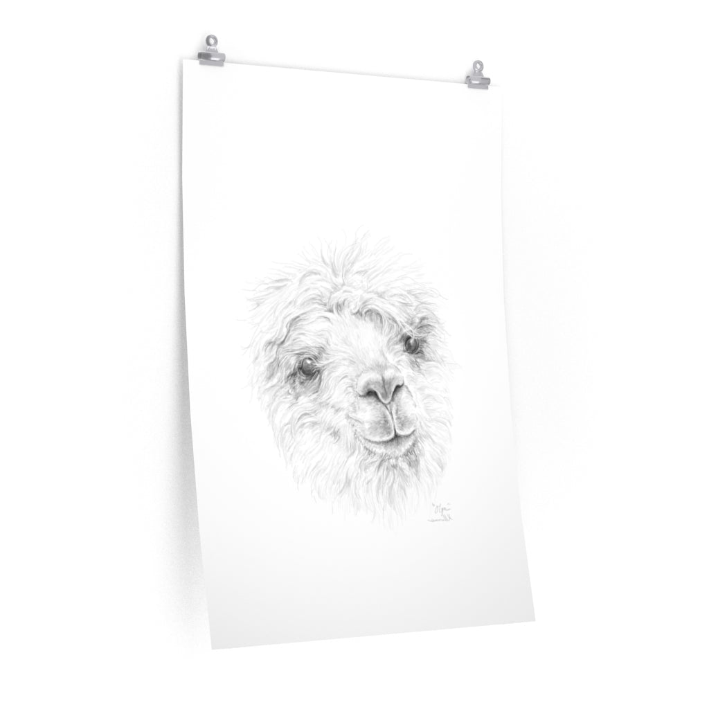 OLGA Llama- Art Paper Print